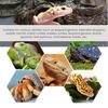 Ковровое покрытие для рептилий, подстилка для террариума, подкладка из нескользящего материала, коврик для аквариума с бородатой агамой, змеей, ящерицей, черепахой, леопардовым гекконом, аксессуары для аквариума