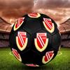Логотип Energie Cottbus, Футбольный мяч размера 5, Машинная сшивка, ПВХ, Прочный и с высоким отскоком, Подходит для всех возрастов, Товар для фанатов, Для матчей и использования на улице.