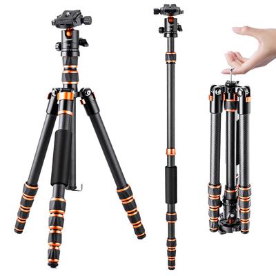 Концепт-штатив Carbon Ultra Light Compact 5 Tiers Общая высота 153 см Регулируемый монопод Free Head Гайка Lock Штатив для путешествий SLR Camera B210 Direct K&F