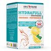 Formule D'électrolytes Eric Favre - Hydrafull Electrolytes - Citron Boite De 15