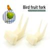 Parrot Fruit Fork Toy: Bird Cage Utensils and Supplies (Plastic)