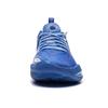 Баскетбольные кроссовки Li Ning DLO2 Низкие Унисекс Дворцовый синий ABPW013-8