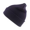 Result Genuine Recycled Thinsulate Beanie
