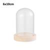 Plants Transparent Bottle Jar Glass Vase Wooden Base Flower Storage Box Glass Cloche Dust Cover