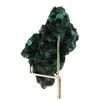 Stones and Minerals. Malachite. 268.0 Ct. Katanga, Congo.