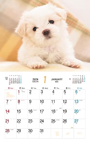 Пушистый щенок (Календарь Impress 2024)