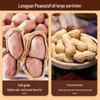 BIBIZAN Assorted Roasted Peanut Snacks