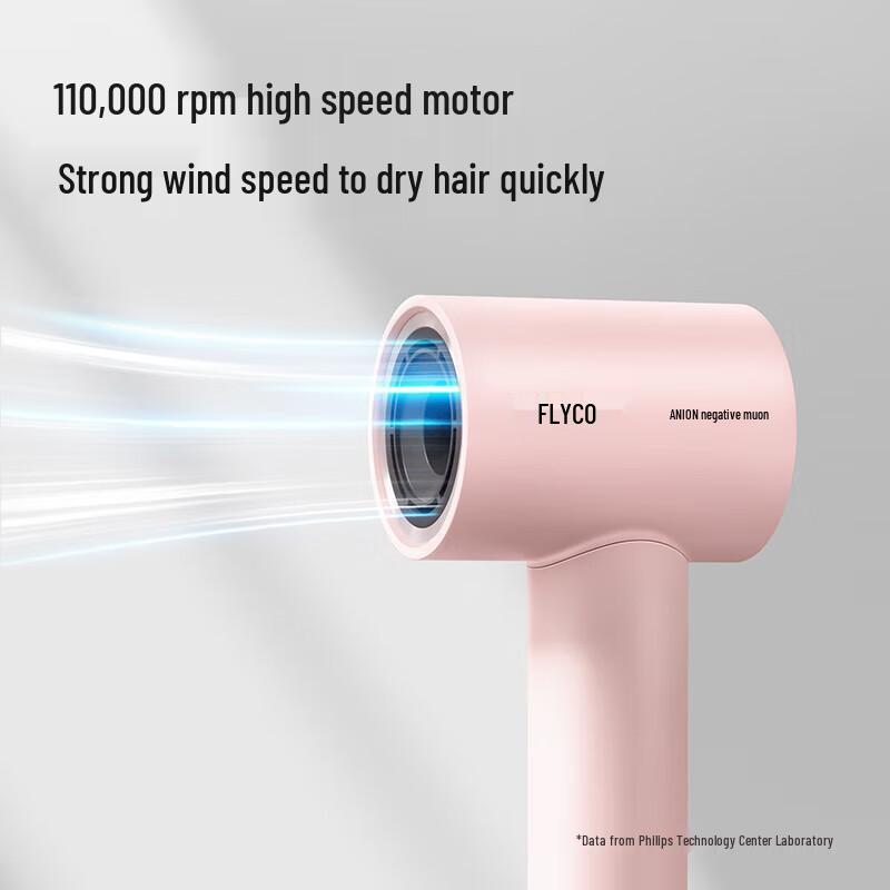 FLYCO High-Speed Negative Ion Hair Dryer FH6370 CN plug (adapter included)