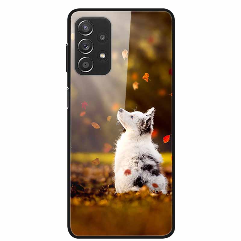 Для Samsung A52 5G 4G Чехлы A52s 5G Закаленное Стекло Жесткие Задние Чехлы Для Samsung Galaxy A52 5G Чехлы для Телефона Funda A 52s 2022 A528B