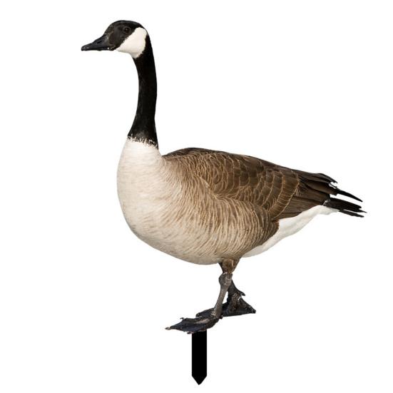 Декор Утка Реалистичная Живая Декоративная Двусторонняя Печать Рустикальная Акриловая Садовая Статуэтка Домашней Птицы для Двора