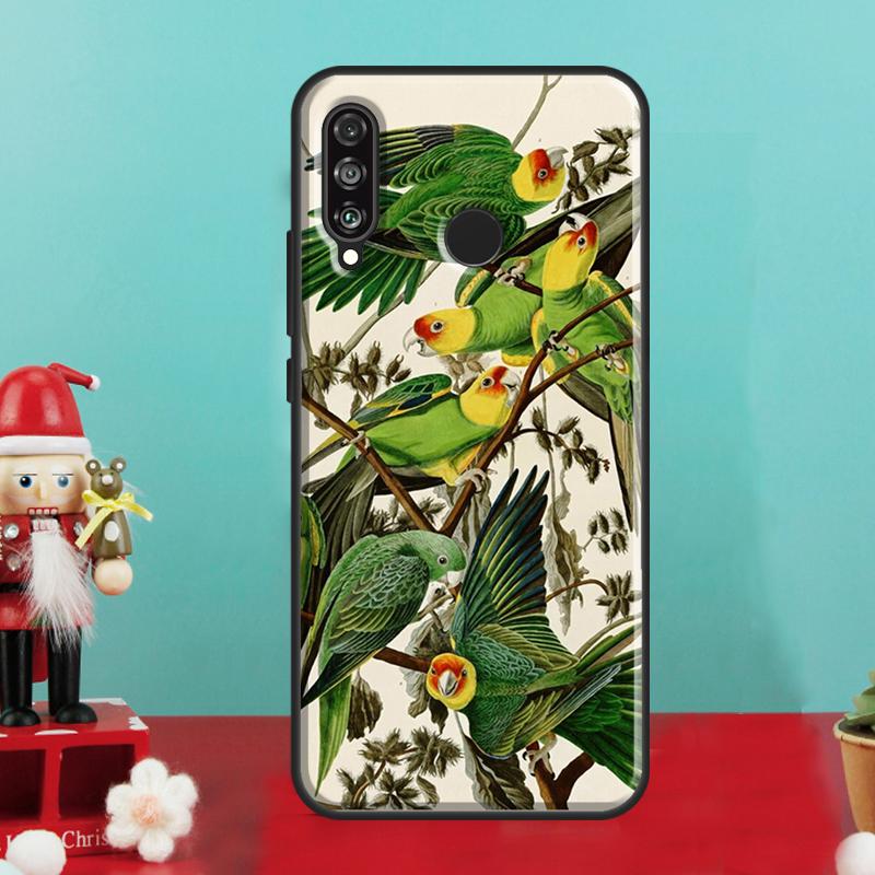 Животные Попугаи Птицы Для Huawei Nova 10 9 SE 12i 12s 11i 8i Y90 Y60 Y70 Y72 Y73 Y61 Y91 P30 P40 Lite P60 Pro Чехол