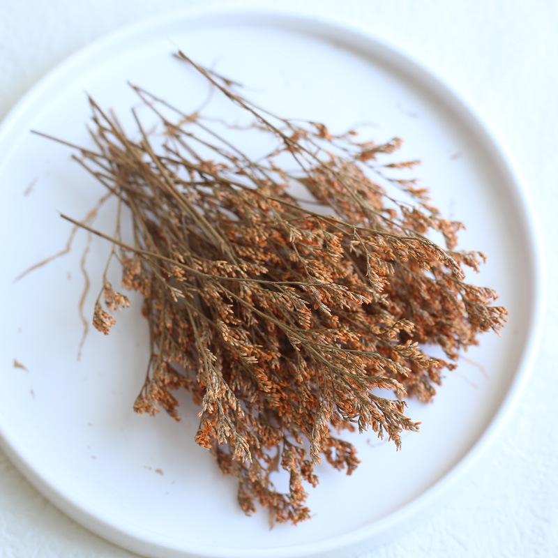 Dried Real Flowers & Materials: Pine Cones, Acorns, Cotton, Adhesives, Sunflowers - DIY Scented Floral Decor & Photography Props