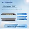 IP-шлюз Microbell VD100P (Китайская версия)