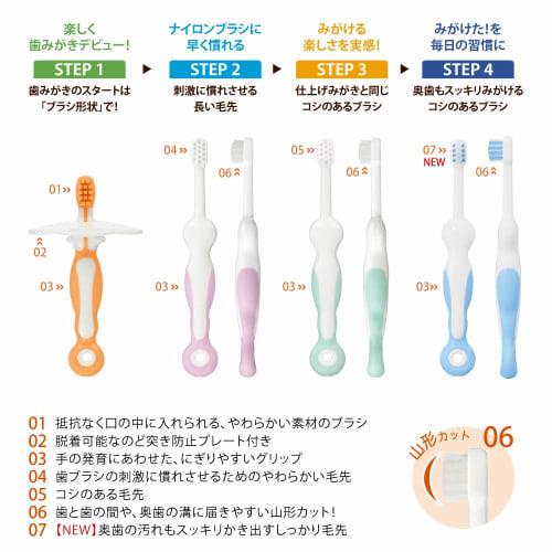 Combi Teteo Teteo First Time Tooth Brushing Baby Toothbrush STEP4 When the Molars Come In Sora Color (Blue)