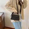 Stylish Compact Handbag Women's 2024 Spring New Fashion Single Shoulder Crossbody Bag