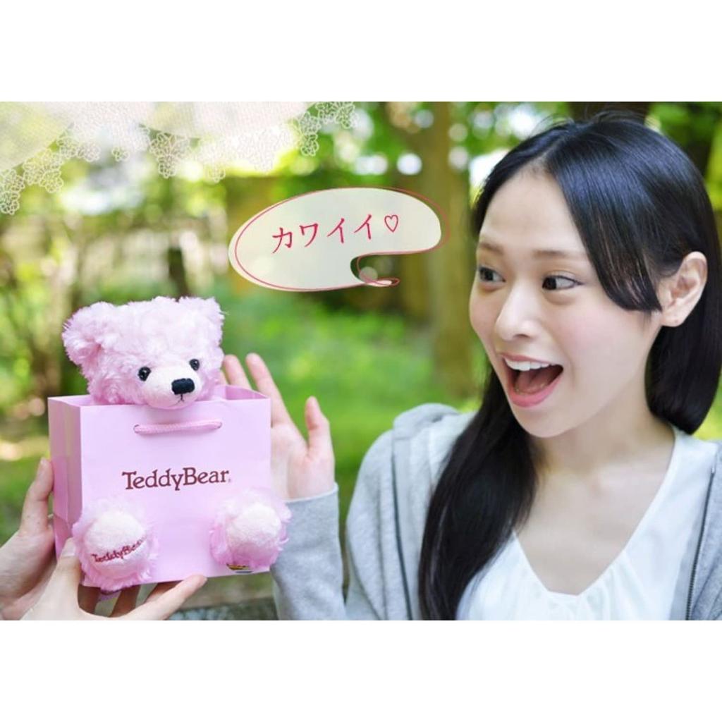 Sears Teddy Bear Plush Toy Jewelry Box Gift Set Heart-Shaped (Pearl White) tdt-01-w