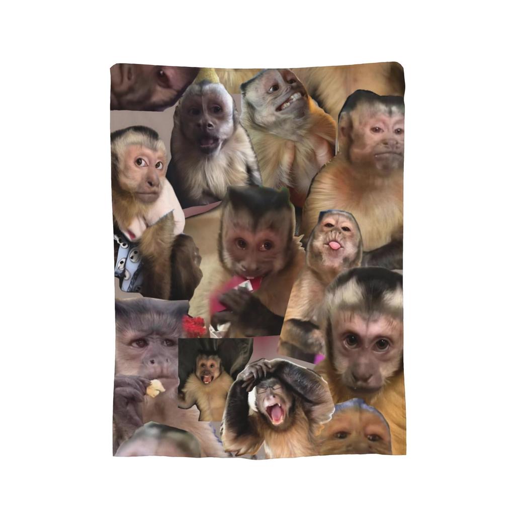 Monkey Face Funny Meme Blanket Ultra Soft Throw Blankets for Sofa 50x60 Inch Multisize Bedding Throws