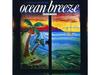 Masayoshi Takanaka OCEAN BREEZE SHM-CD UPCY-6720 Standard Edition Remaster NEW