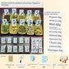 Dragon Boat Festival DIY Growth Kits for Children and Teenagers: Handmade Sachets, Fragrances, and Aromatherapy Materials