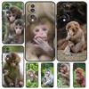 Милый чехол с изображением обезьянки для Honor X9b X9a X8a X7a X6a X6 X7 X8 X9 8X 9X Honor Magic 5 Pro 50 70 90 Lite