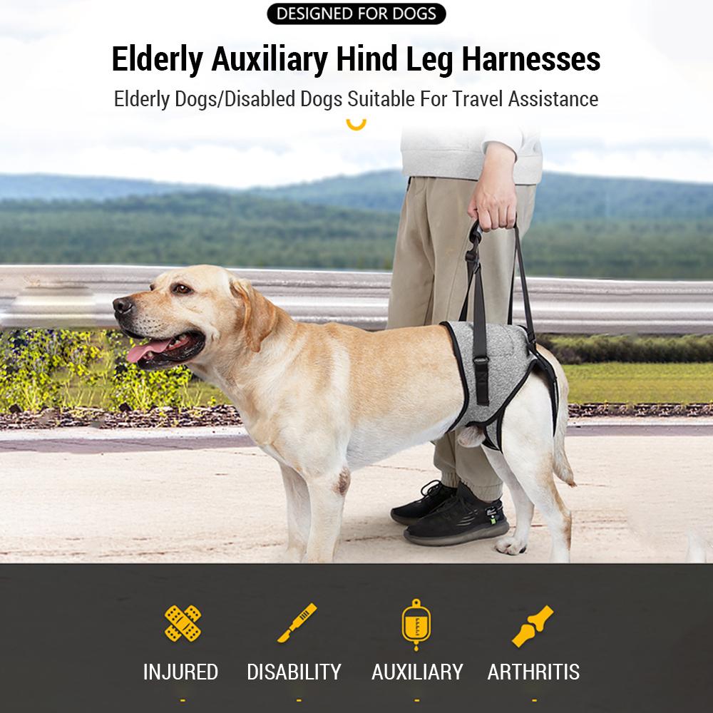 Слинг для собак крупных собак, регулируемые ремни для подъема задних лап для прогулок/лазания, вспомогательные приспособления для домашних животных