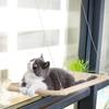 Pet Cats Hammock Kitten Climbing Frame Hanging Cat Bed Suction Cup Bed House Removable Window Hammock Easy Clean Cat