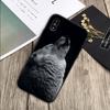 Angry Snow Wolf Cover Soft Silicone Black Phone Case For iPhone 5 5S SE 6 Plus 7 8 12 13 Plus X XR XS Max 11 PRO Max
