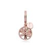 781728Cz Rose Family Heritage Dangle Charm