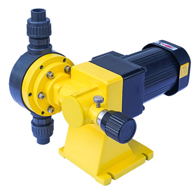 Bangwo GWM100L Diaphragm Metering Pump