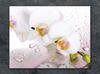 SZKLANA DESKA DO KROJENIA 40x30 ORCHIDEA