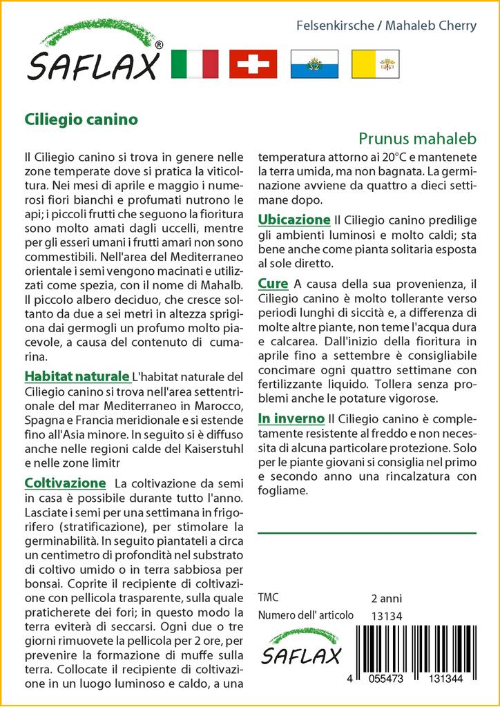 SAFLAX Махалеб Вишня - 30 семян - Prunus mahaleb