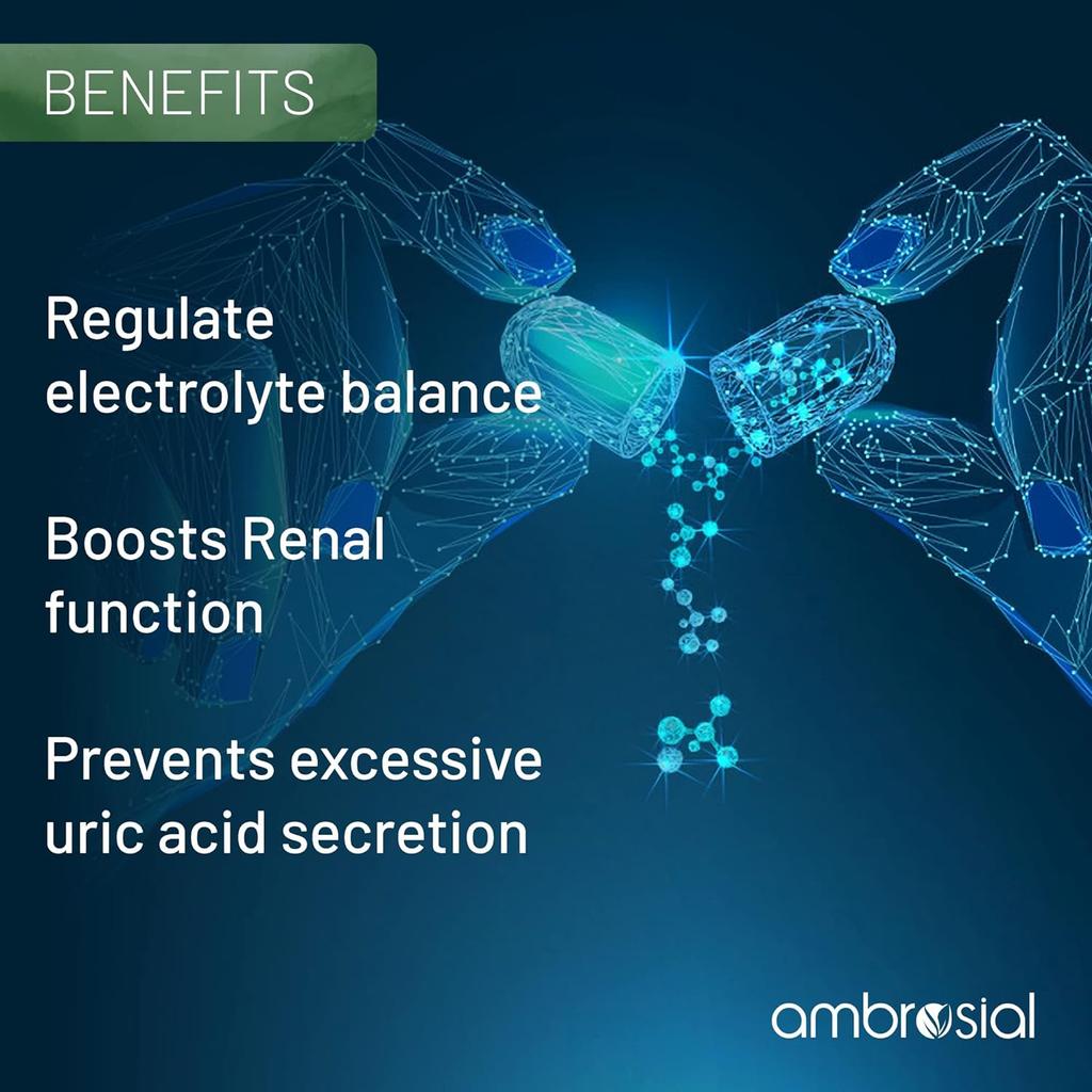 AMBROSIAL Iodine 5000mcg with 7500mcg Potassium Iodide High Strength Iodine Tablets (Pack of 1-60 Tablets)