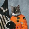 CD KLAXONS Surfing The Void RINSELP2 Rinse Polydor 2010 Европа Танцевальная Электроника Б/у