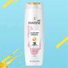 Pantene Шампунь для восстановления после окрашивания и химической завивки