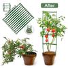 12/24Pcs Stake Arms for Garden Tomato Cage Plant Growth Aid Plant Stem Support Stand