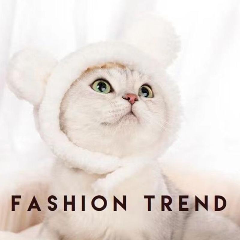 Китти Китти Шляпа Цыпленок Головной убор для домашних животных Панда Медведь Собака Шляпа Головной убор Шляпа для дрэг-шляпы Интернет Знаменитость Трансграничный