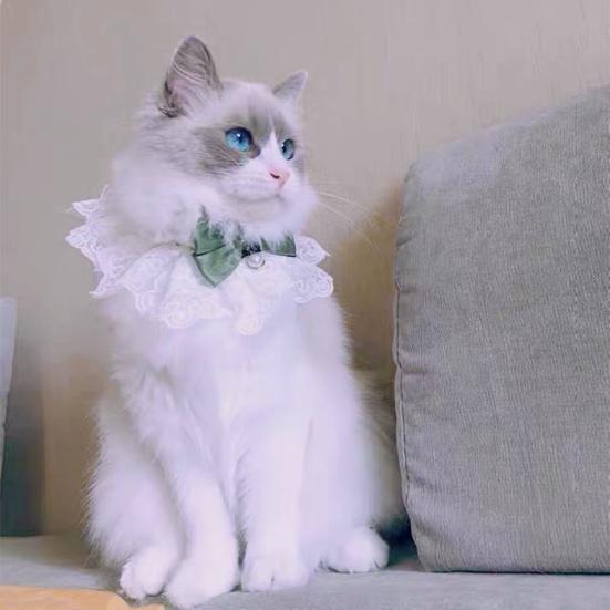 Pet Neckerchief Attractive Charming Cute Cats Dogs Bowknot Neckerchief with Bell