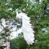Beautiful Christmas Tree Decoration White Real  Feather Pendant Gift Simulation White Peacock