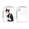 32pcs, Cow Cat Portrait Postcards, Cat Lovers, Room Decoration Stickers, Brochure Material, Souvenirs, Collectibles and Mailing