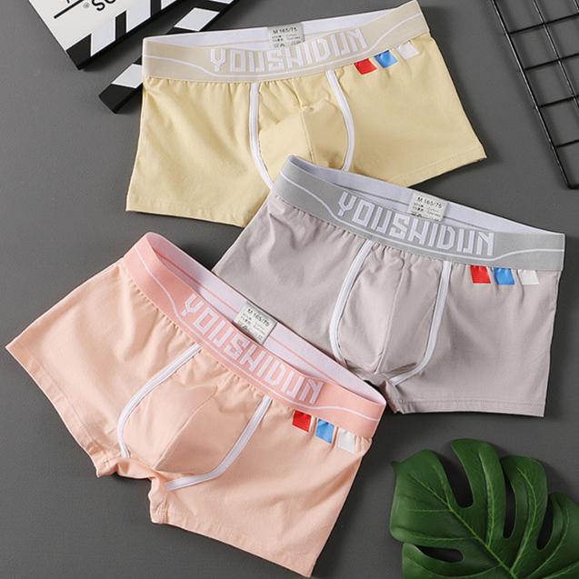 Fashion Boxer Men Underwear Cotton Breathable Mens Boxers Cuecas Masculinas Calzoncillos Panties M-3XL