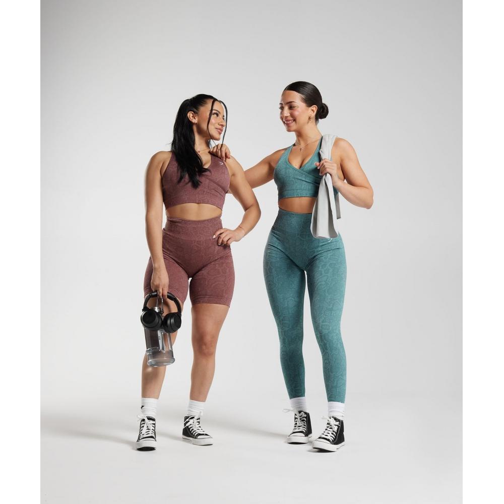 Gymshark Адаптировать Животное бесшовный спортивный бюстгальтер Современный румянец розовый пурпурный коричневый B6a4q Kbnb