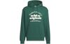 Оригинальная толстовка с принтом Originals GRAPHIC HOODIE Мужская Зеленая JE3486