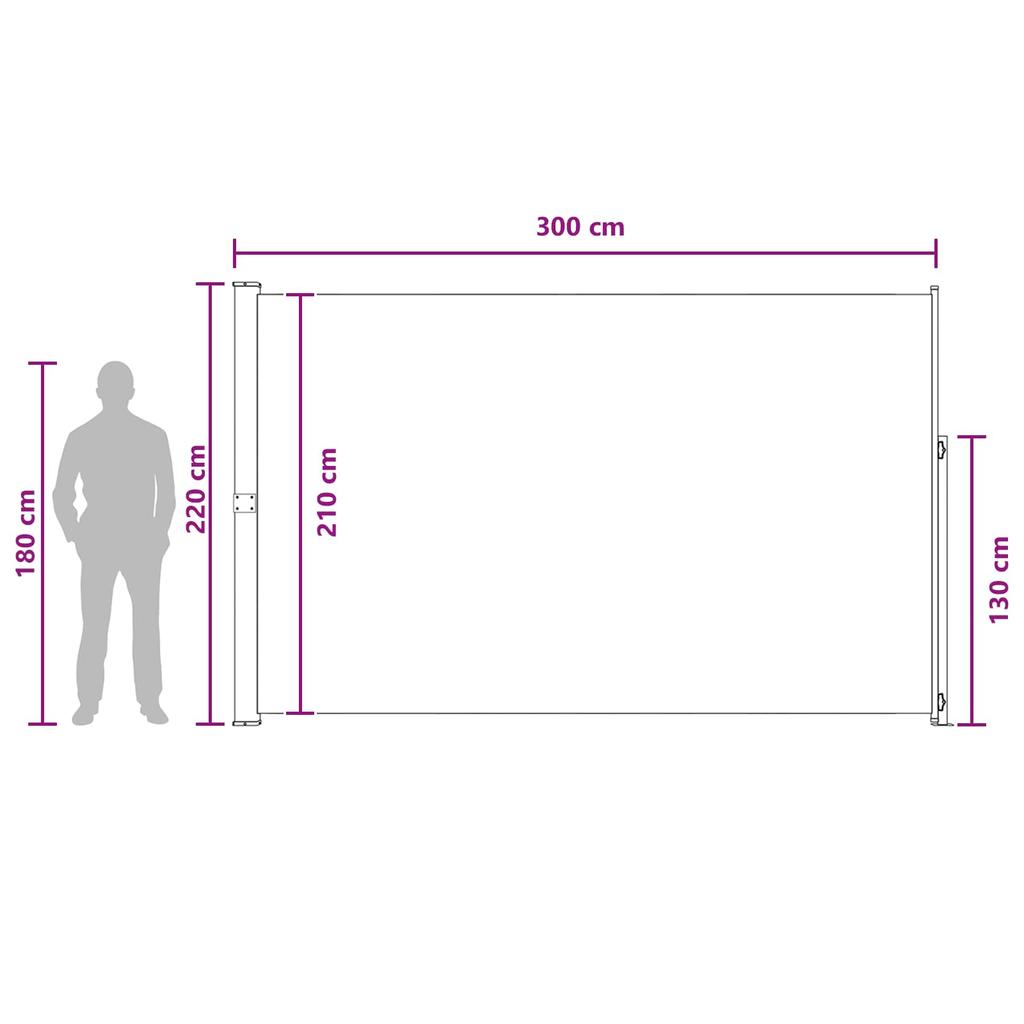 Retractable Side Awning Anthracite 300 x 220 cm Polyester
