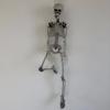 Halloween Human Shape Skeleton,Posable Skeleton,Human Shape Bones,Halloween Decorations,Haunted House Horror Props 90/170CM