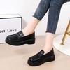 British Style Platform Work Small Leather Shoes Women's 2025 New Spring Mary Jane Loafers One-pedal Single Shoes Women
