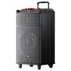 Портативная уличная KTV Bluetooth колонка на колесах Newmine N520 (Китайская версия)