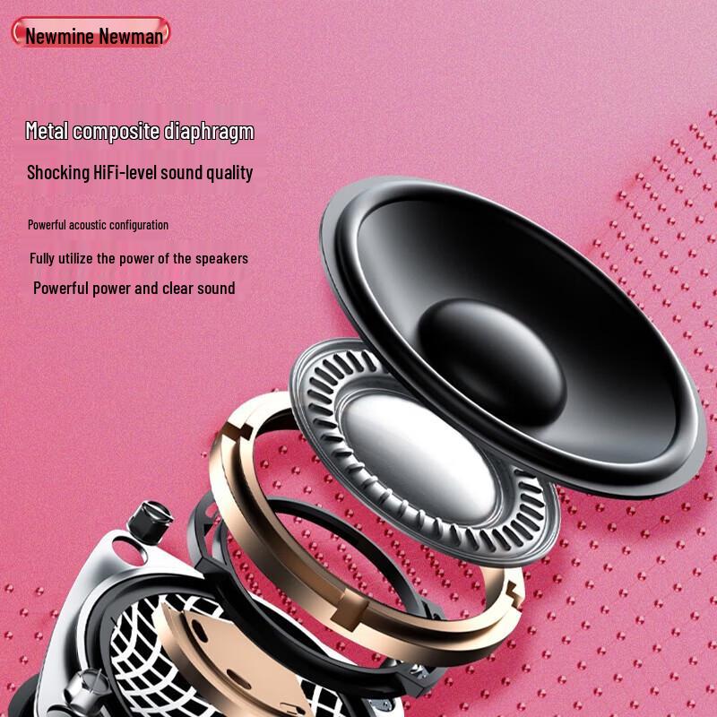 Портативная Bluetooth-колонка Newmine BT31, штекер CN (адаптер в комплекте)