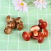 10Pcs/Lot 4cm Mini Fake Mushroom Simulation Fruit and Vegetable Bonsai Ornaments Home Holiday Decoration Photography Props