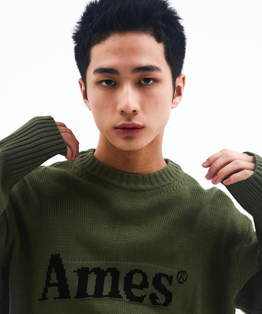 AMES-WORLDWIDE Basic Pullover Knit Khaki