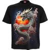 Spiral Unisex Adult Sun Dragon T-Shirt